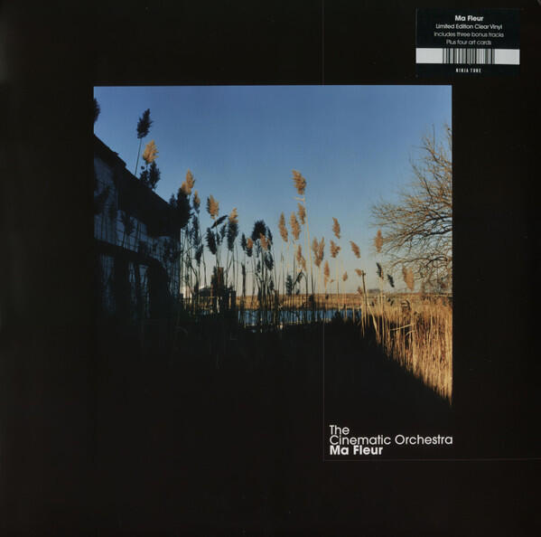 The Cinematic Orchestra – Ma Fleur - Socorro