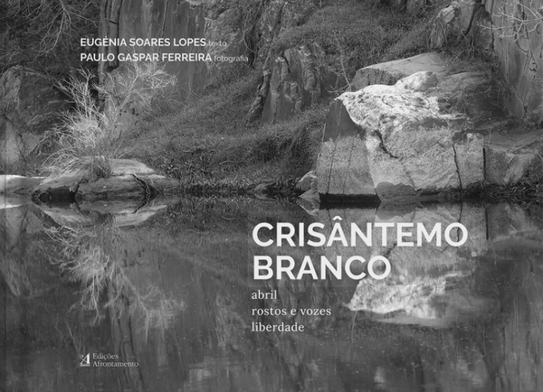 Eugénia Soares Lopes - Crisântemo Branco
