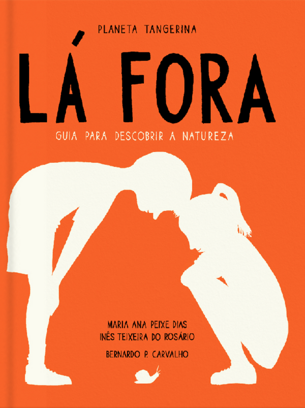 Maria A. P. Dias, Inês T. do Rosário, Bernardo P. Carvalho - Lá Fora