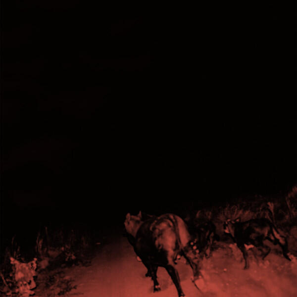 Bambara - Shadow On Everything