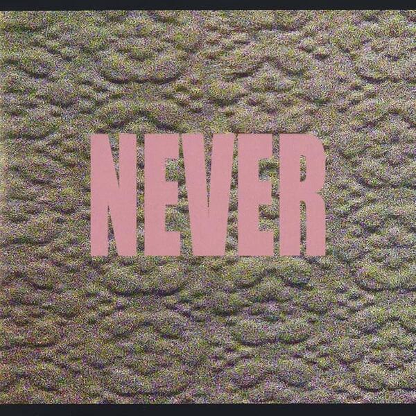 Micachu & The Shapes - Never