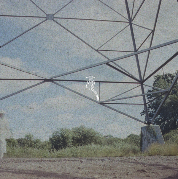 Monde ufo - Flamingo Tower (Indies)