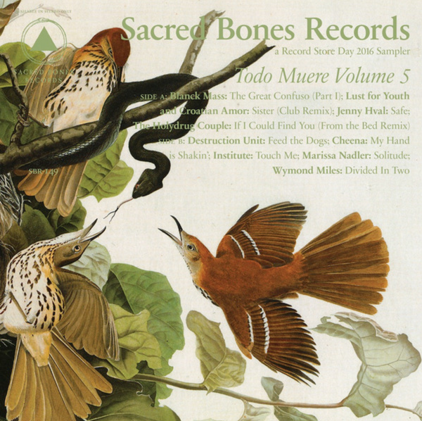 V/A – Todo Muere Volume 5