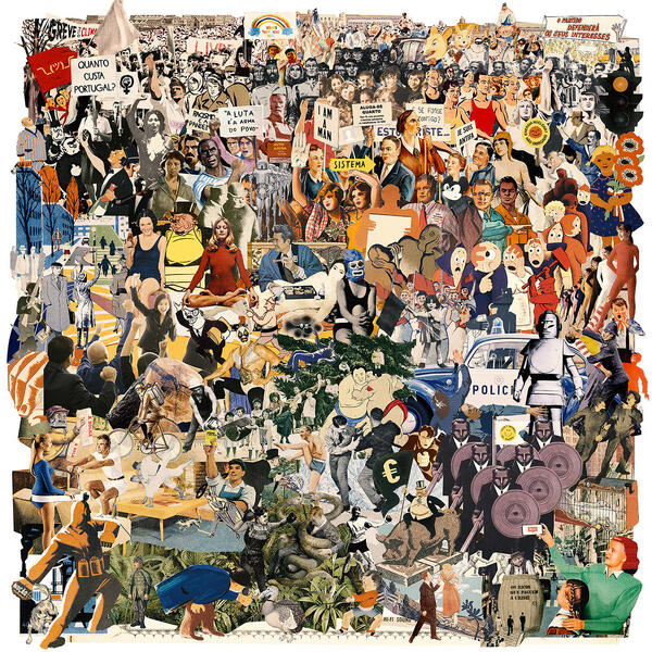 Luta Livre – Técnicas De Combate