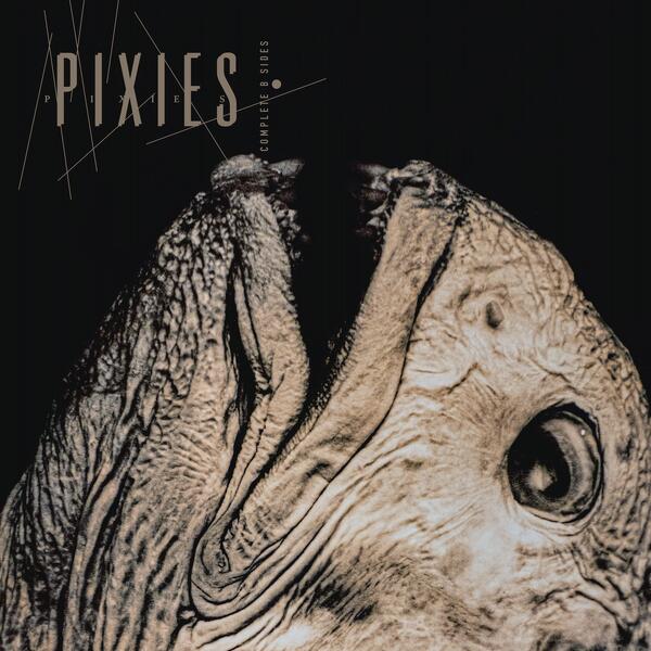 Pixies - Complete B Sides: 1988-97 (crystal clear vinyl)